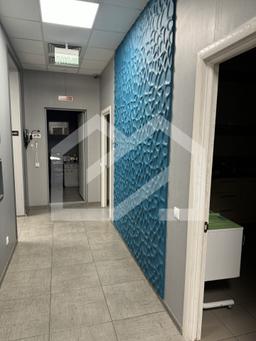 IMG_5398.jpg