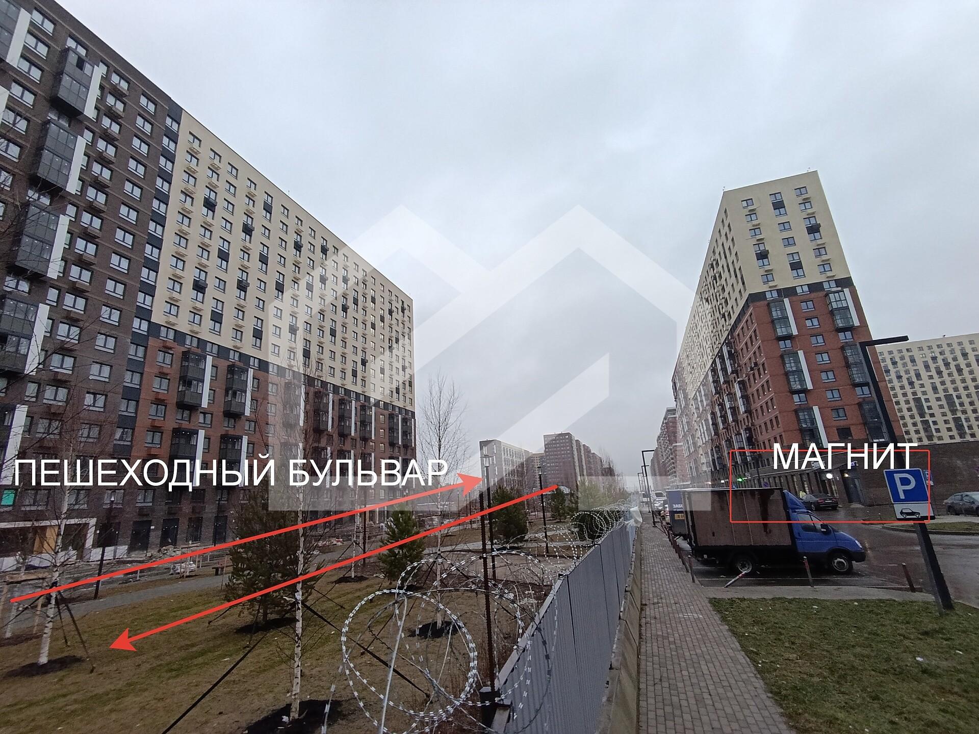 Томилино парк.jpg