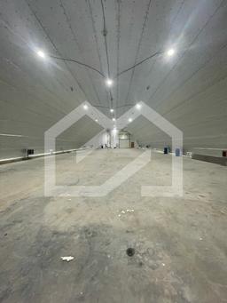 WhatsApp Image 2025-02-24 at 13.37.48 (2).jpeg