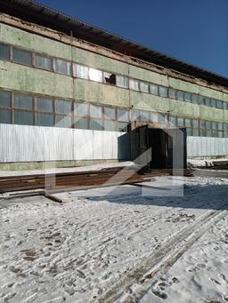 WhatsApp Image 2025-02-26 at 11.21.37.jpeg