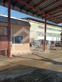 WhatsApp Image 2025-02-26 at 11.21.37 (3).jpeg