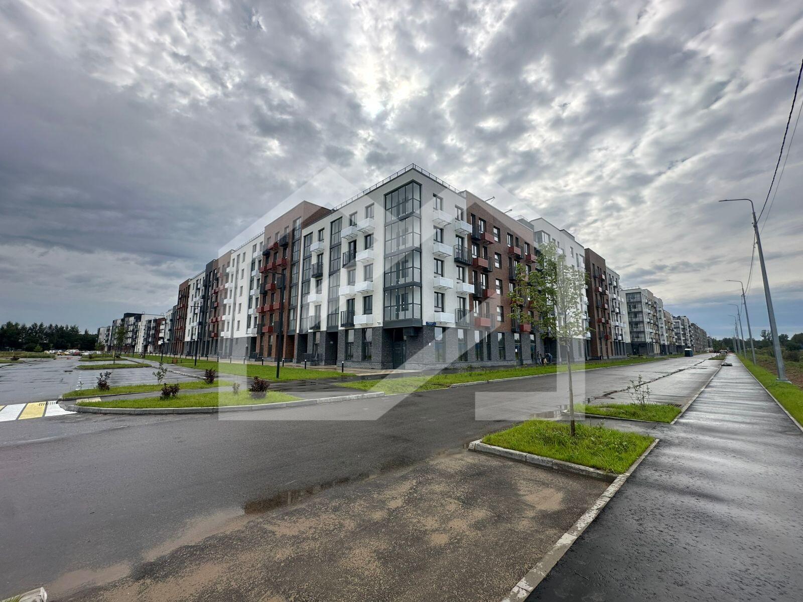 WhatsApp Image 2025-08-13 at 13.15.48.jpeg