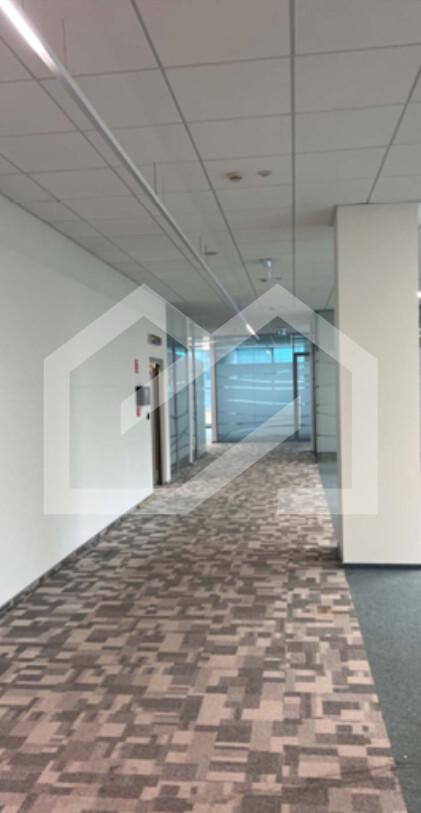 Снимок экрана 2025-03-10 110747.png