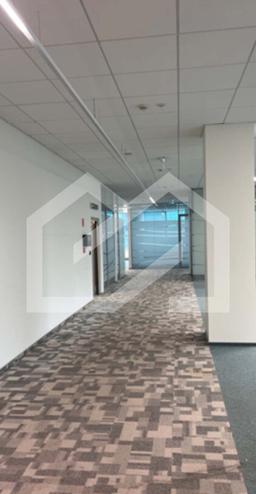 Снимок экрана 2025-03-10 110747.png