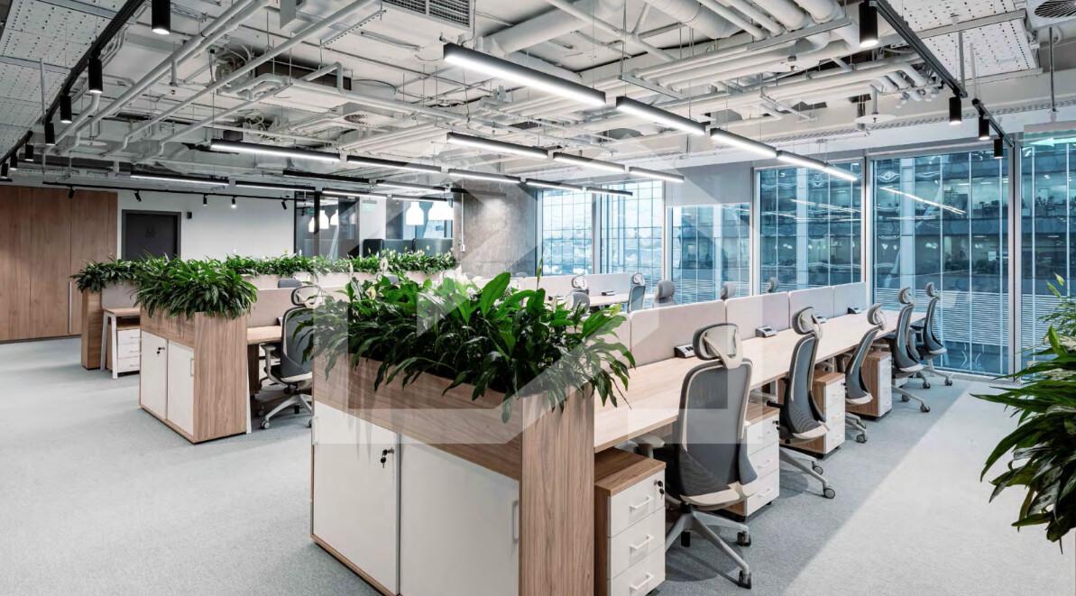 Снимок экрана 2025-03-10 121333.png