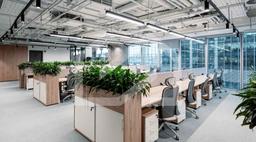 Снимок экрана 2025-03-10 121333.png