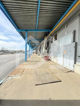 5397682862460892931 — копия.jpg