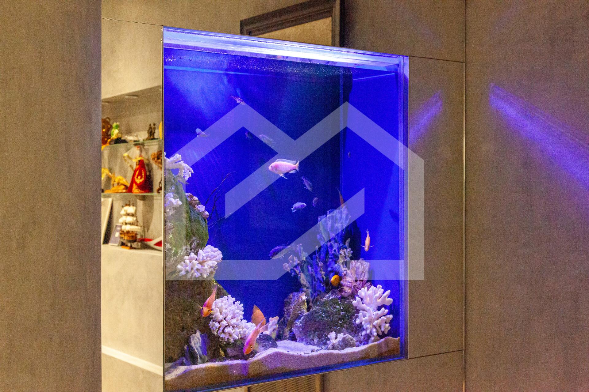 Копия IMG_2862.jpg