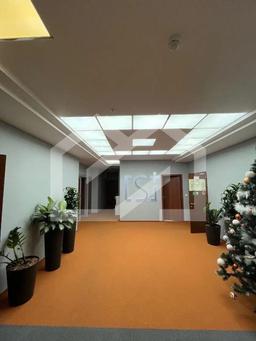 IMG_3376.jpeg