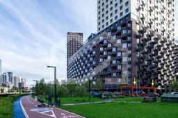 Копия IMG_7503.jpg