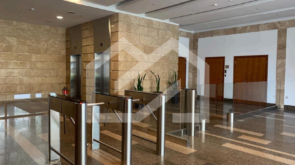 333333.png