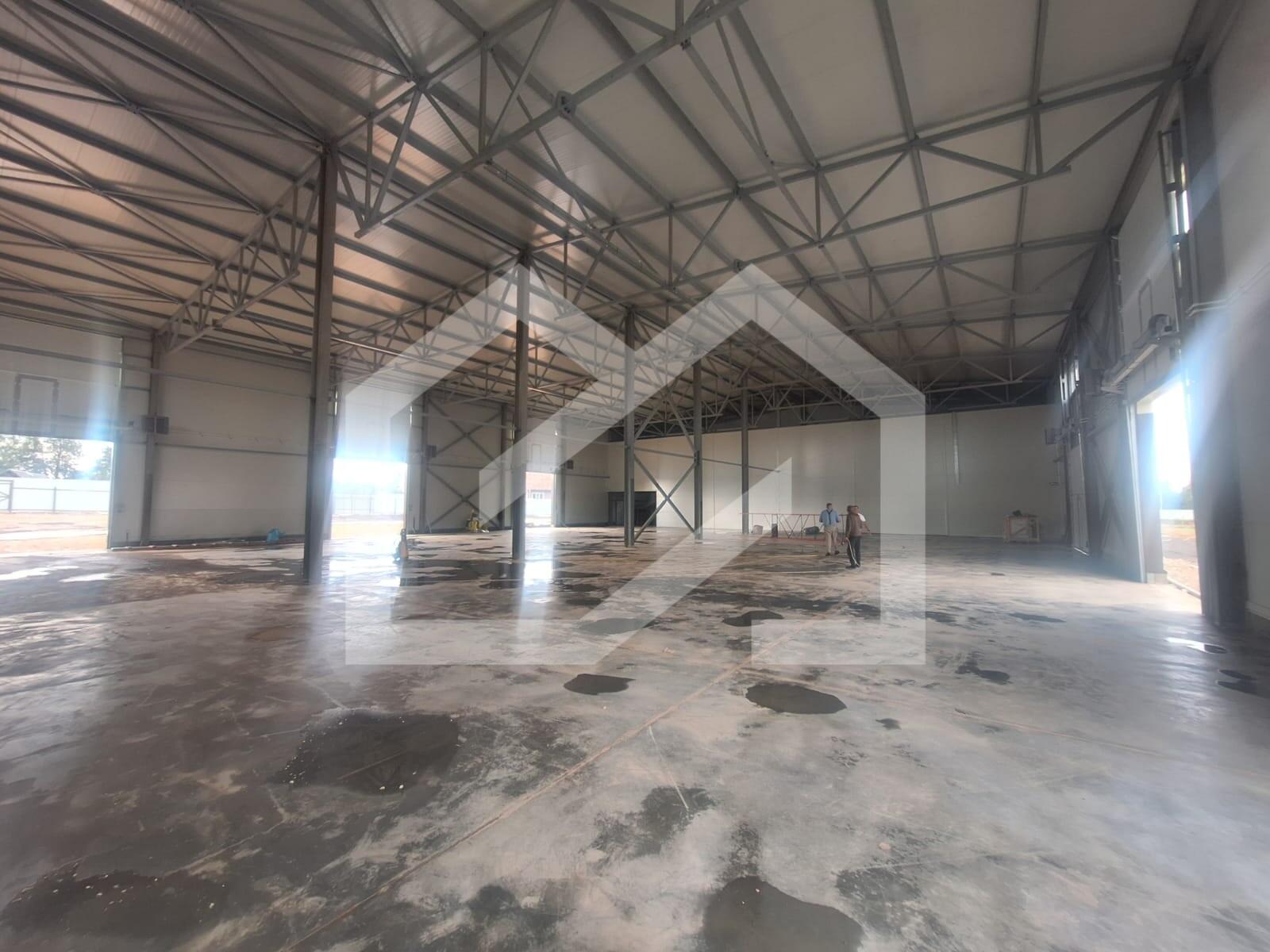 WhatsApp Image 2025-09-03 at 16.49.52.jpeg