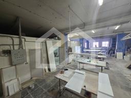 WhatsApp Image 2025-03-03 at 14.31.55.jpeg