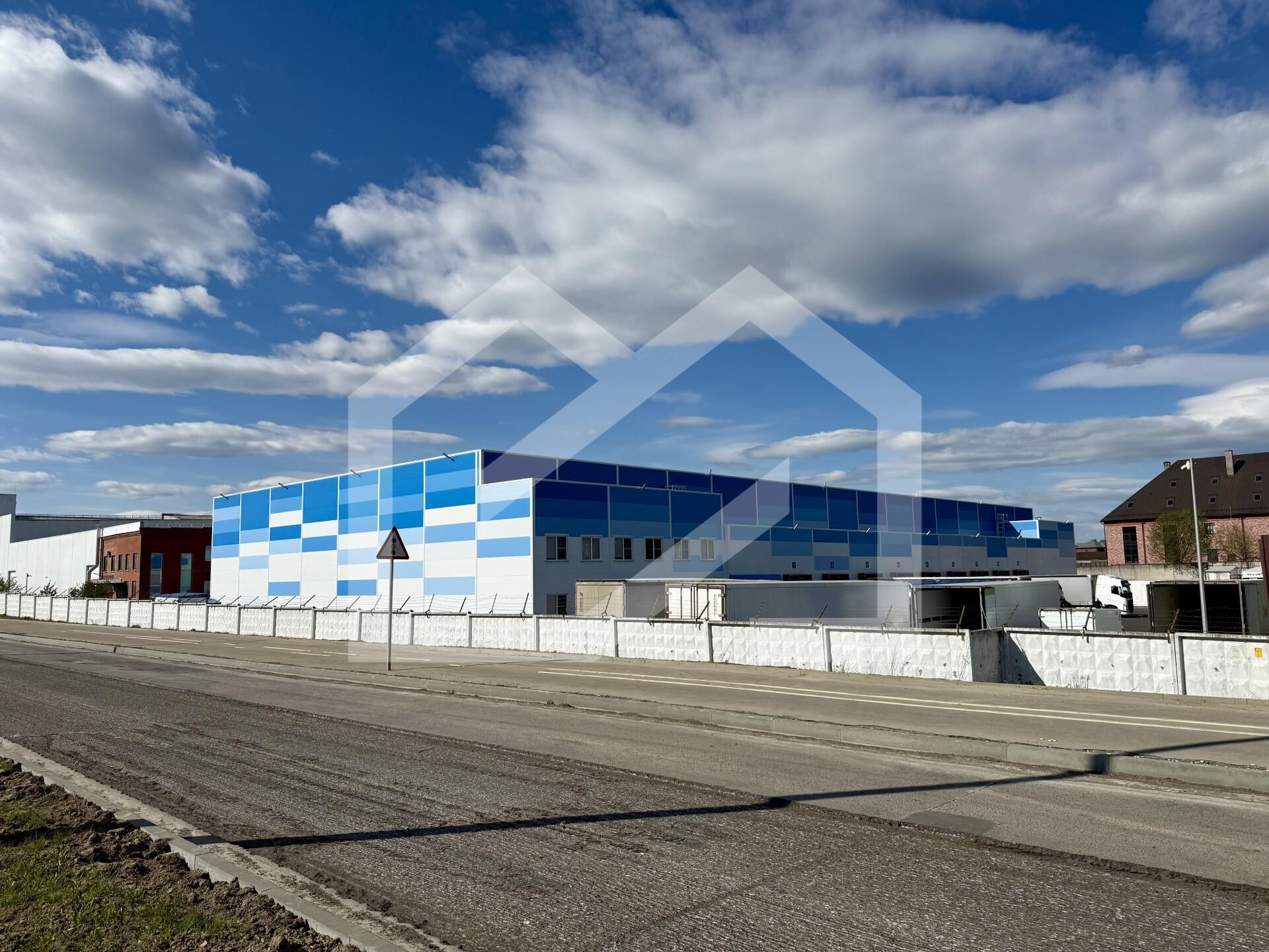 Копия IMG_2329.jpg