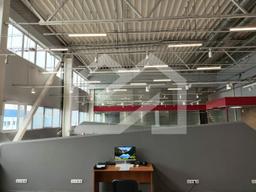 WhatsApp Image 2025-04-04 at 17.41.45.jpeg