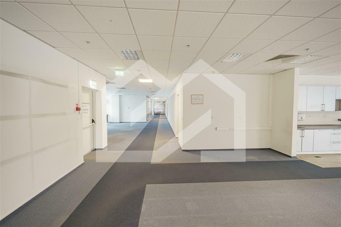 Интерьер 304 (Medium).jpg