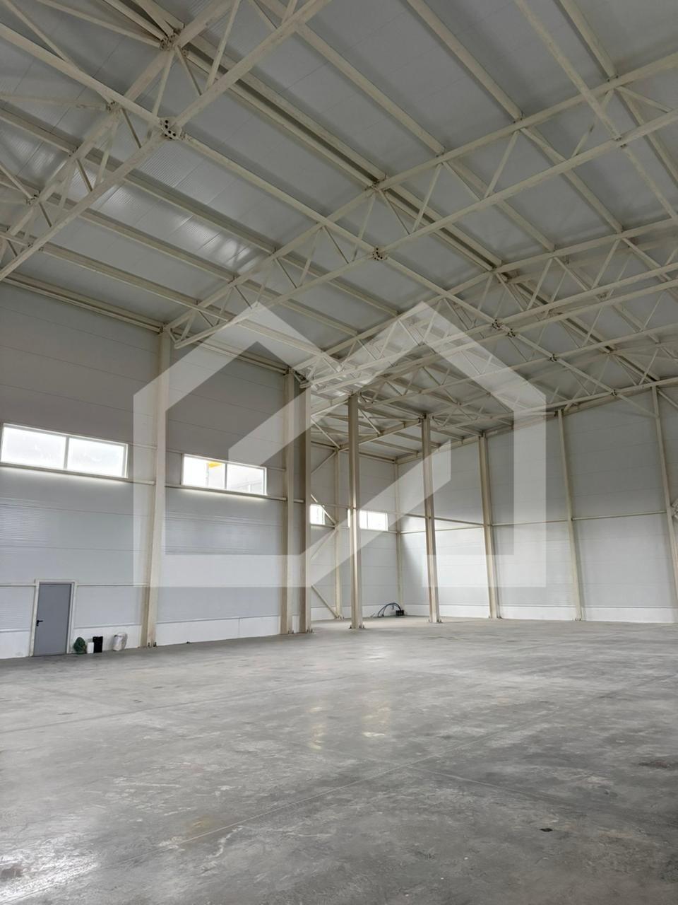 WhatsApp Image 2025-10-13 at 17.00.31.jpeg