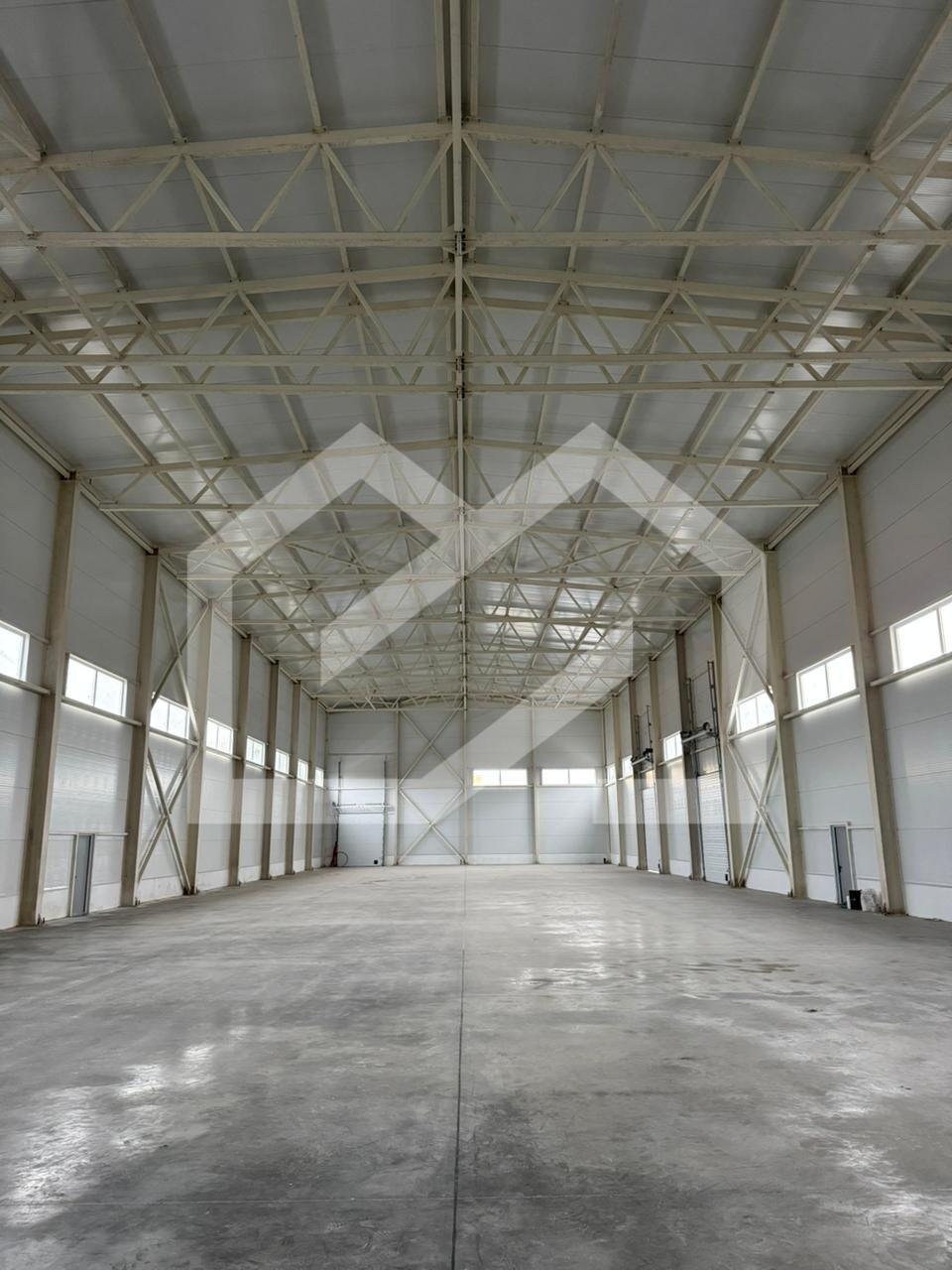 WhatsApp Image 2025-10-13 at 17.00.30.jpeg