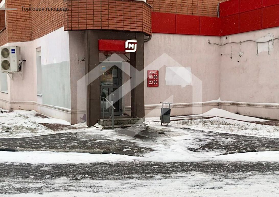 королев 1.png