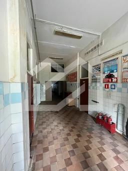 WhatsApp Image 2025-06-11 at 16.20.53.jpeg