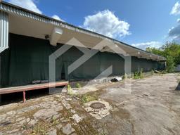 WhatsApp Image 2025-06-11 at 16.20.50 (2).jpeg