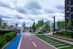 Копия IMG_3511.jpg