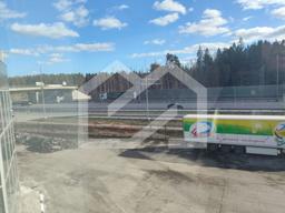 IMG_20250320_151535.jpg