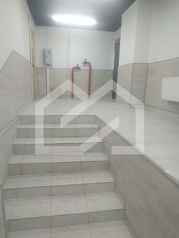 WhatsApp Image 2025-04-14 at 12.17.01.jpeg