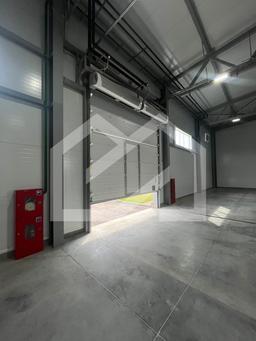 WhatsApp Image 2025-08-12 at 10.58.40 (1).jpeg