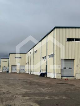 WhatsApp Image 2025-05-07 at 20.59.46 (3).jpeg