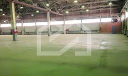 Изображение WhatsApp 2024-04-26 в 10.05.15_bd2adadf.jpg