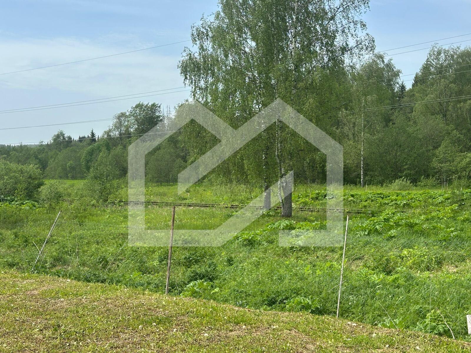 WhatsApp Image 2025-10-21 at 16.55.53.jpeg