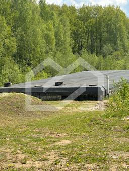 WhatsApp Image 2025-10-21 at 16.55.53 (1).jpeg