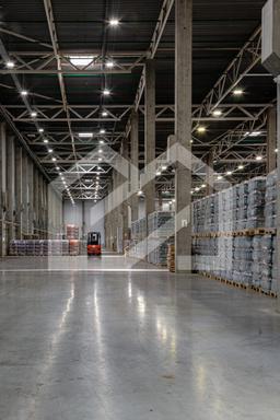 WhatsApp Image 2025-05-06 at 16.48.15 (1).jpeg