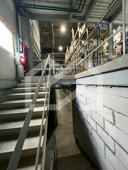 WhatsApp Image 2025-05-30 at 17.32.40.jpeg