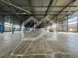 WhatsApp Image 2025-07-14 at 11.38.01.jpeg