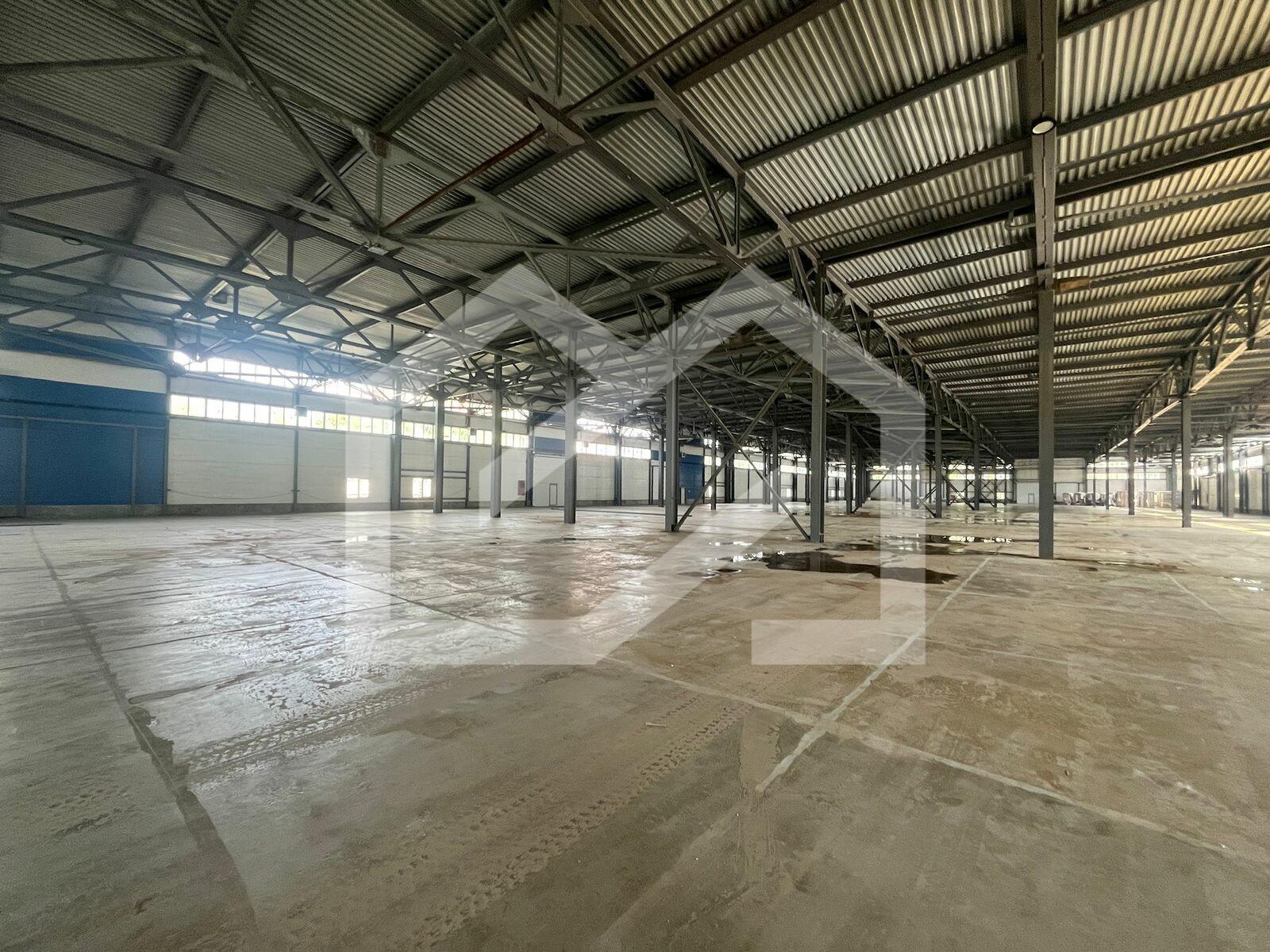 WhatsApp Image 2025-07-14 at 11.38.02 (1).jpeg