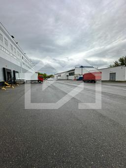 WhatsApp Image 2025-06-05 at 13.20.01 (2).jpeg