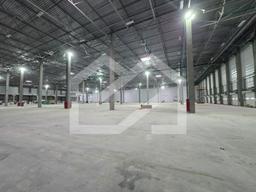 WhatsApp Image 2025-06-05 at 12.47.16.jpeg