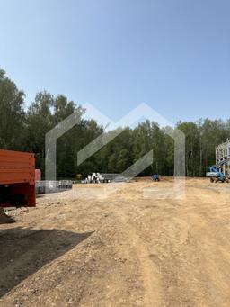 IMG_6662 — крупный размер.jpeg