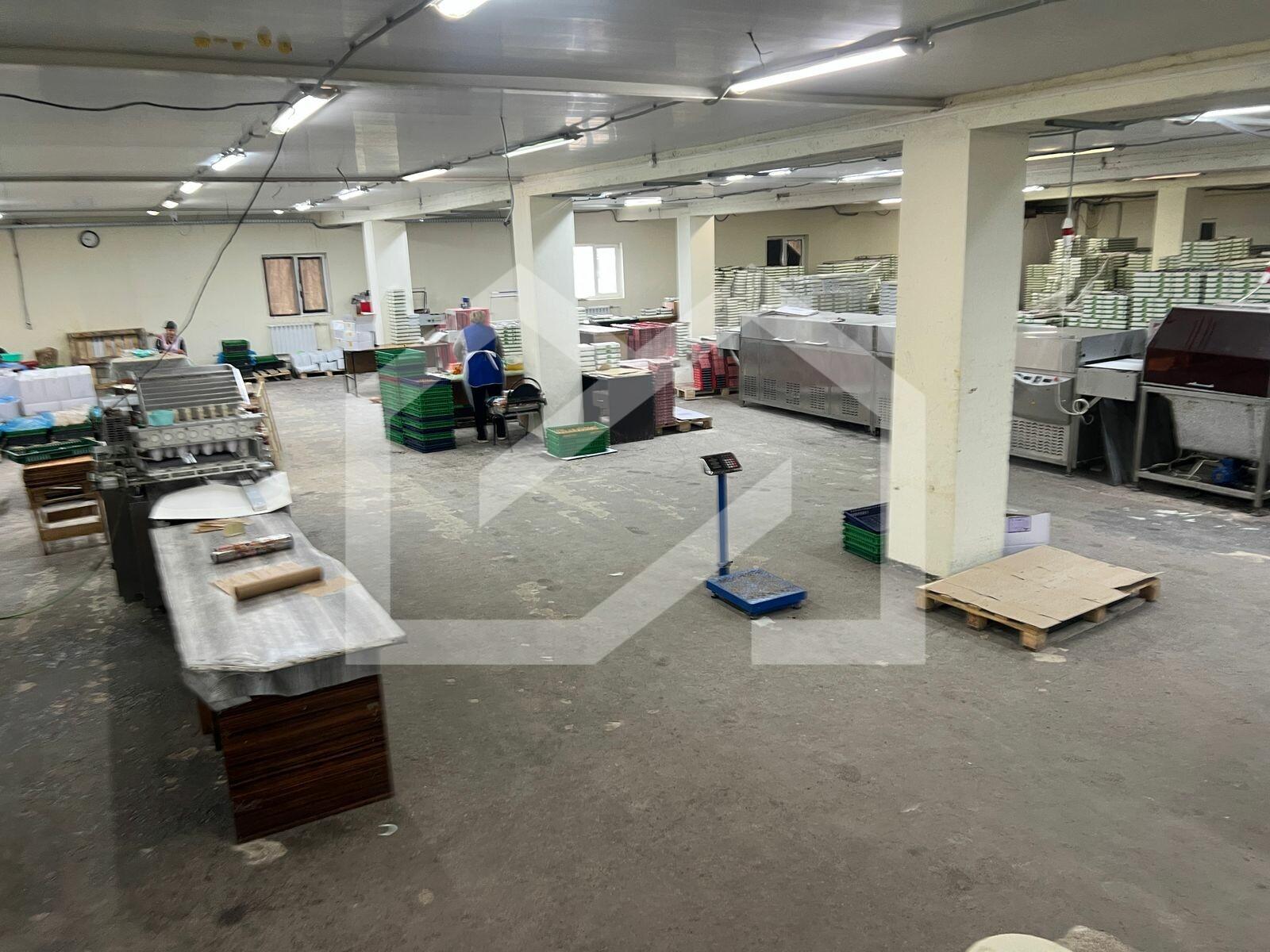 WhatsApp Image 2025-06-11 at 10.31.01.jpeg