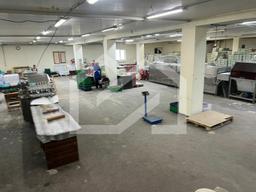 WhatsApp Image 2025-06-11 at 10.31.01.jpeg