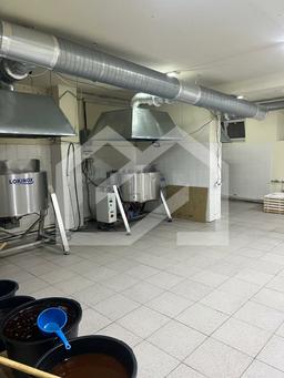 WhatsApp Image 2025-06-11 at 10.30.53.jpeg