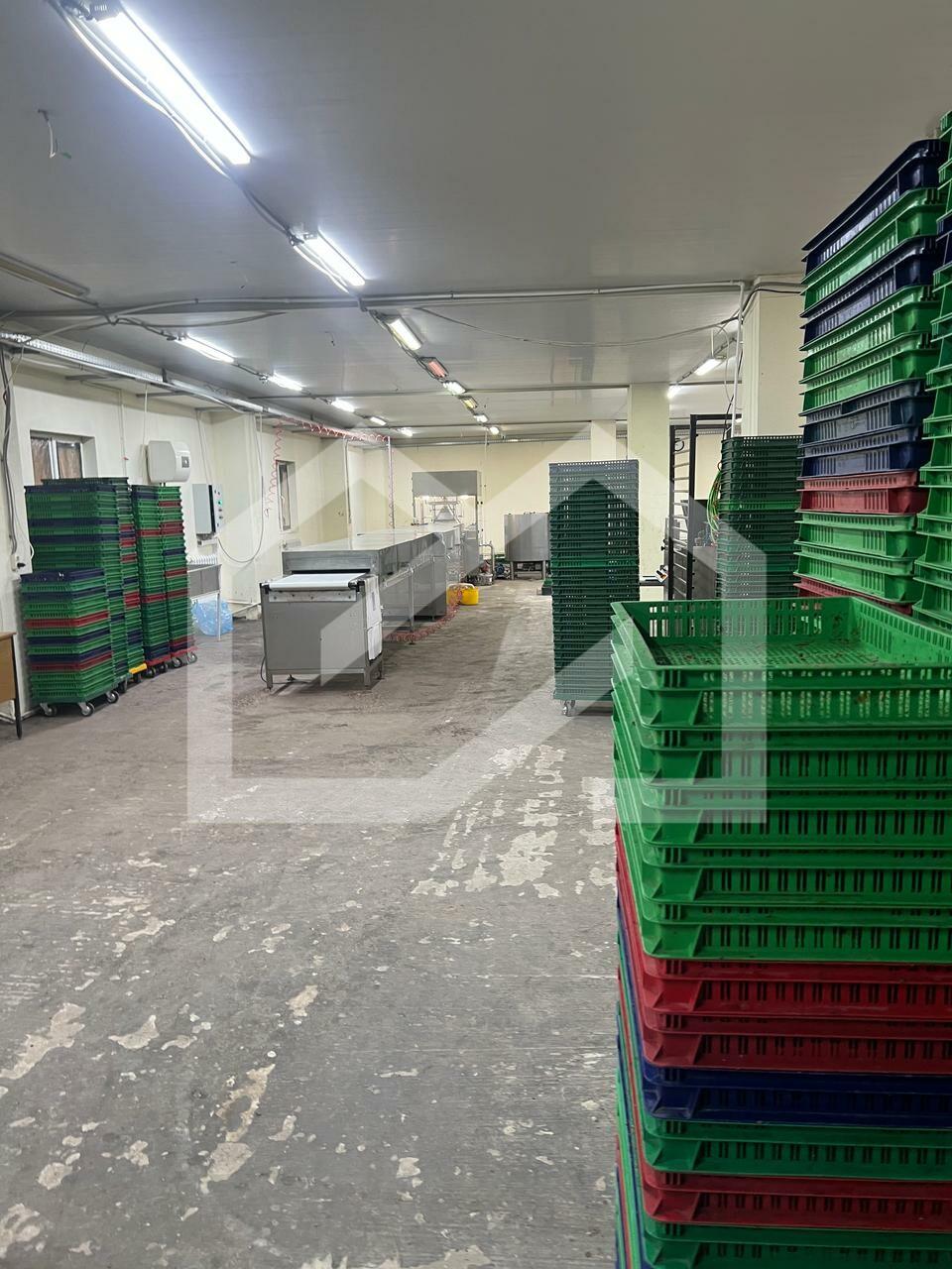 WhatsApp Image 2025-06-11 at 10.30.50.jpeg