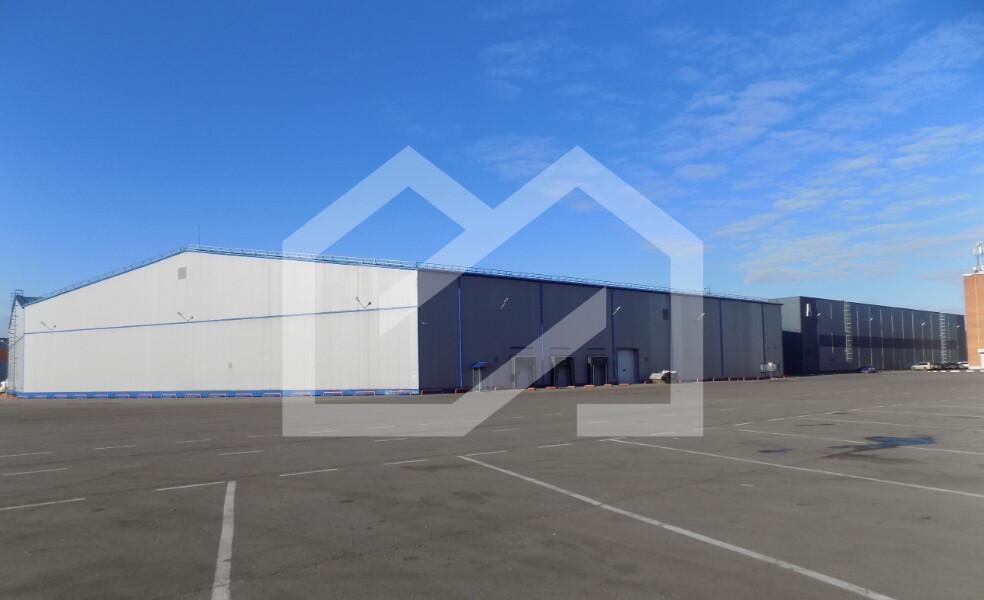 Изображение WhatsApp 2025-08-06 в 11.31.31_016a130e.jpg