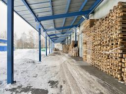 Копия IMG_8140.jpeg