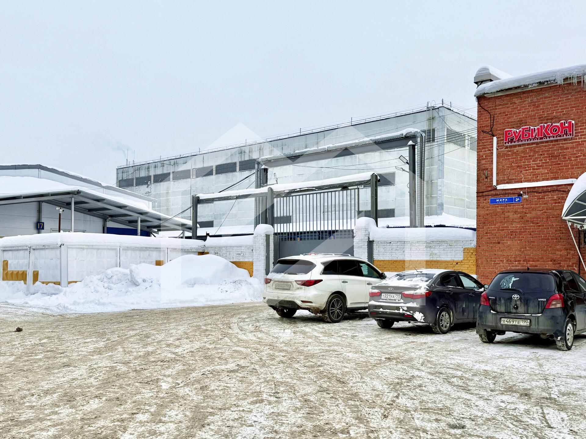 Копия IMG_8138.jpeg