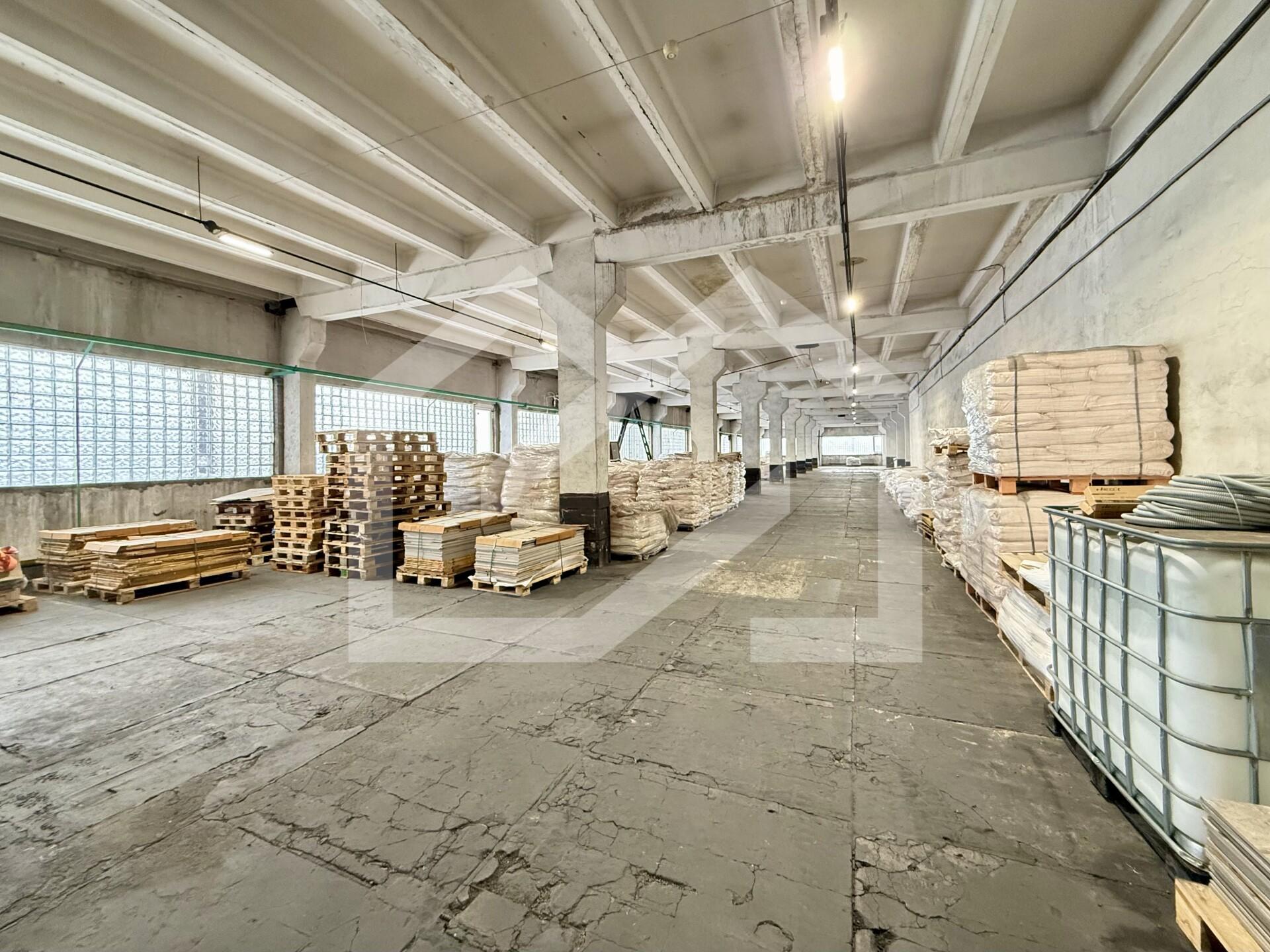 Копия IMG_8146.jpeg