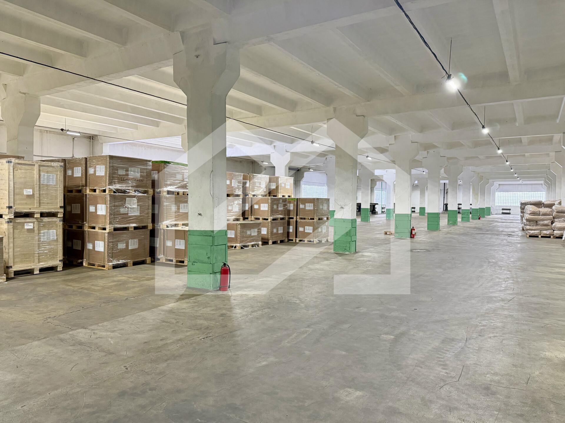 Копия IMG_8162.jpeg