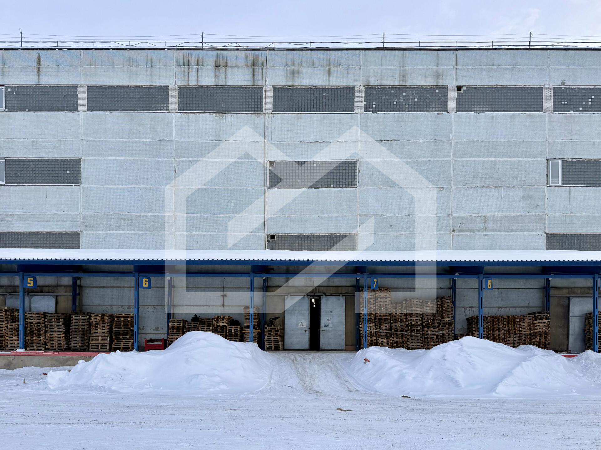 Копия IMG_8181.jpeg